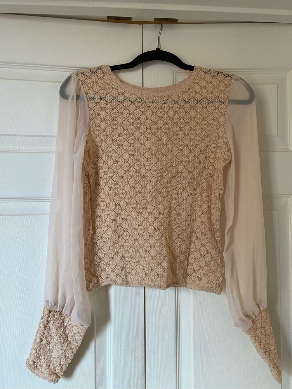 Delicate Lace & Sheer Sleeve Women's Top - Cream